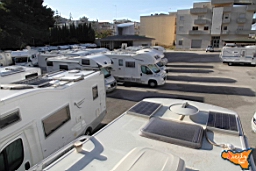 Santa Ninfa 19 11 2016 102.jpg